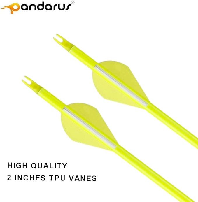 30/32" Inch ST0.006 Hunting Arrows for Compound & Recurve Bow,100% Carbon Archery Target Arrows with Removable Tips for Accurate Hunters & Bowhunters (Pack of 12)