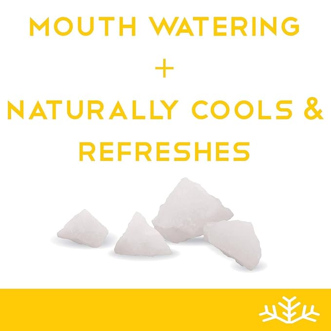 Lemon Xylitol Candy Chips - SNØ 1LB Bag- Sugar-Free Candy With Only 2 Ingredients | Low Carbs, Diabetic-Friendly, Non-GMO, Vegan, GF & Kosher | Purest candy in the world!