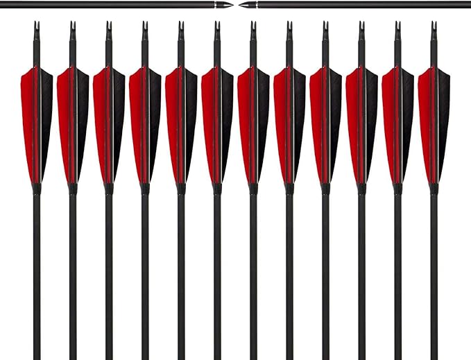 31Inch Carbon Arrows, Targeting Practice Hunting Arrow, Turkey Feather Fletching Arrow, with Removable Tips and nocks for Recurve & Compound Bow