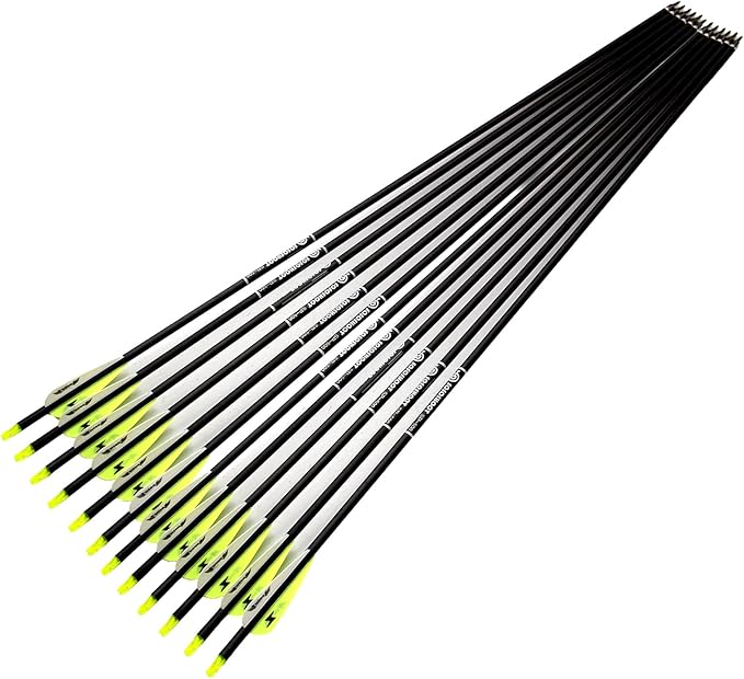 31inch Carbon Arrow Archery Targeting Practice Hunting Arrows for Compound & Recurve Bow with Removable Tips(Pack of 12)