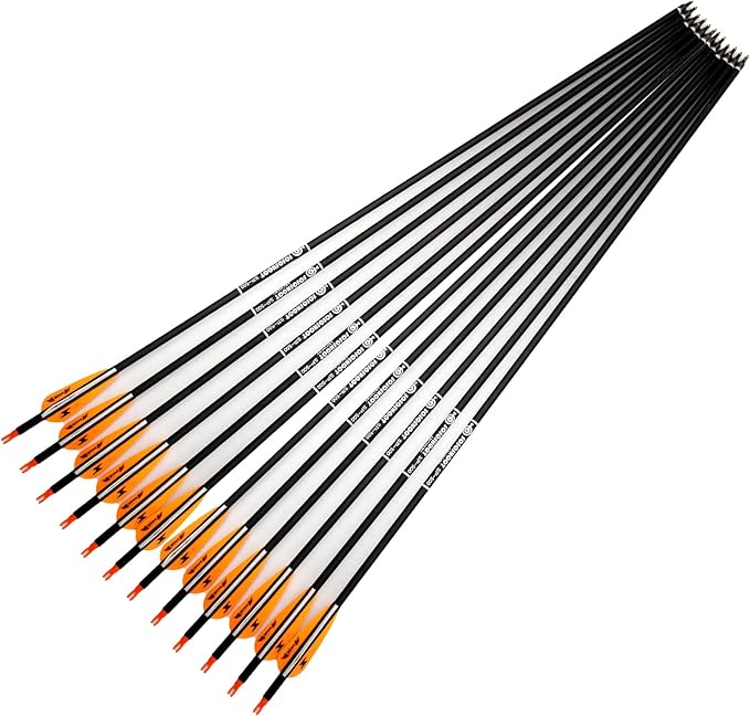 31inch Carbon Arrow Archery Targeting Practice Hunting Arrows for Compound & Recurve Bow with Removable Tips(Pack of 12)