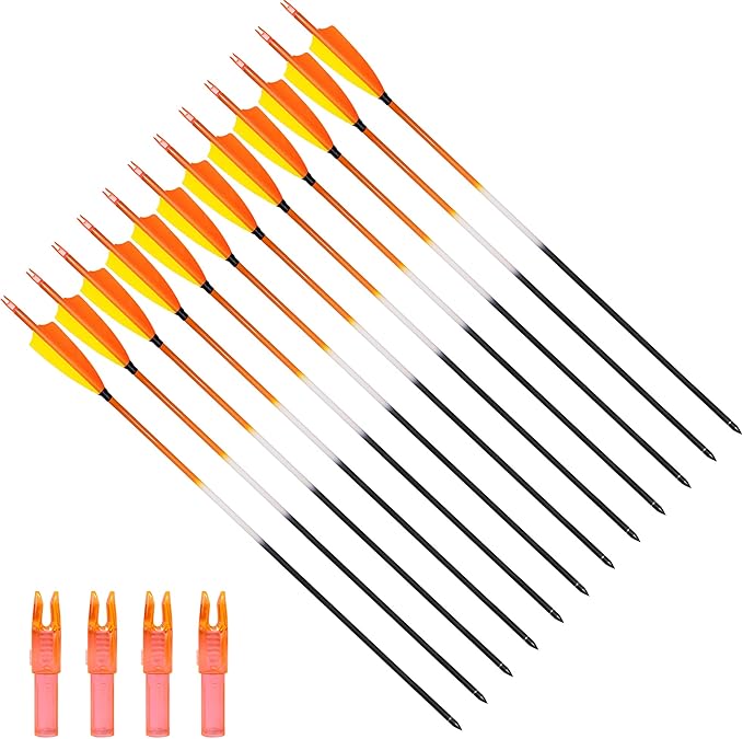 31Inch Carbon Arrows, Targeting Practice Hunting Arrow, Turkey Feather Fletching Arrow, with Removable Tips and nocks for Recurve & Compound Bow