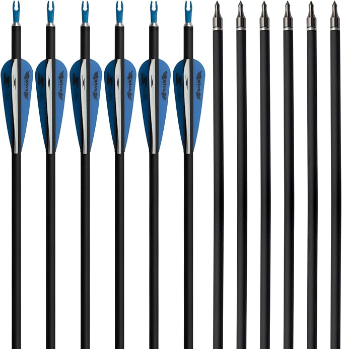 31inch Carbon Arrow Archery Targeting Practice Hunting Arrows for Compound & Recurve Bow with Removable Tips(Pack of 12)