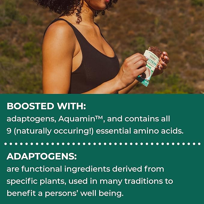 Laird Superfood Functional Protein Bars – Protein Bar but Better with Real Ingredients, Functional Mushrooms 10g Plant-Based Protein, 6g Fiber - Non-GMO - Mint Chocolate, 10 Count (Pack of 1)