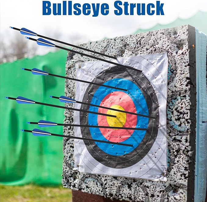 24Pcs 31" Carbon Archery Arrows, Spine Matched for Hunting & Target Practice for Compound & Recurve Bows, Durable Carbon Shaft and Removable Tips