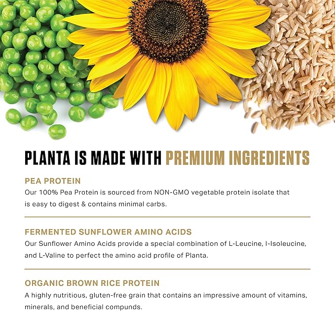 Ambrosia Planta - Premium Organic Plant-Based Protein | Vegan & Keto Friendly | Gourmet Flavors with No Bloating or Stomach Upset | Gluten & Soy Free | No Added Sugar | 25 Servings | Melted Chocolate