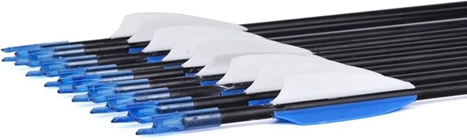 LWANO 31" Training Arrows-Archery Practice Target Arrows for Kids Youth or Beginners with Durable Shaft on Recurve Bow Compound Bow and Longbow