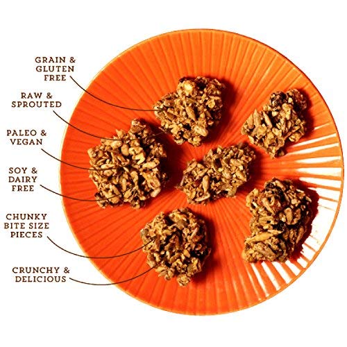Lark Ellen Farm Granola Bites Vanilla Cinnamon, 8 Ounce