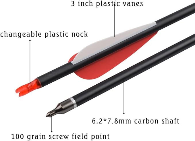 Carbon Arrow Hunting Arrows with 100 Grain Removable Tips for Archery Compound & Recurve & Traditional Bow Practice Shooting (Pack of 12)