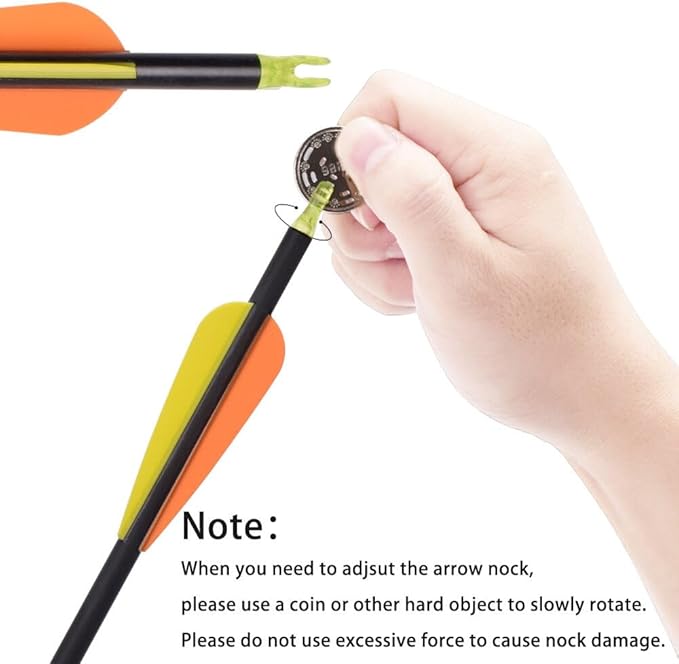 Carbon Arrow Hunting Arrows with 100 Grain Removable Tips for Archery Compound & Recurve & Traditional Bow Practice Shooting (Pack of 12)