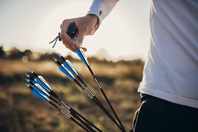 30Inch Carbon Hunting Arrow Targeting Practice Arrows with Removable Tips and Adjustable Nocks for Compound & Recurve Bow (Pack of 12)