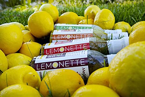 LEMONETTE Sugar Free, Low Cal, Low Fat Salad Dressing: Creamy Italian Herb 1 Gourmet 12oz bottle- Keto, Sugar Free,Gluten Free, Vinegar Free, Soy Free, Dairy Free, Canola Free, Vegan Certified