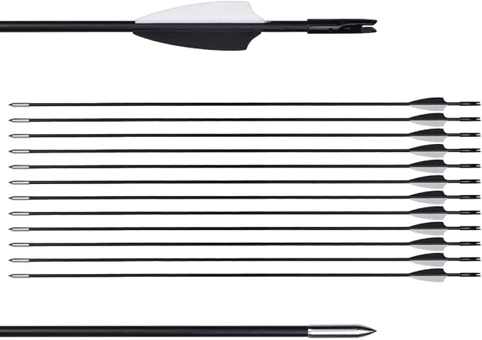 LWANO 31" Training Arrows-Archery Practice Target Arrows for Kids Youth or Beginners with Durable Shaft on Recurve Bow Compound Bow and Longbow