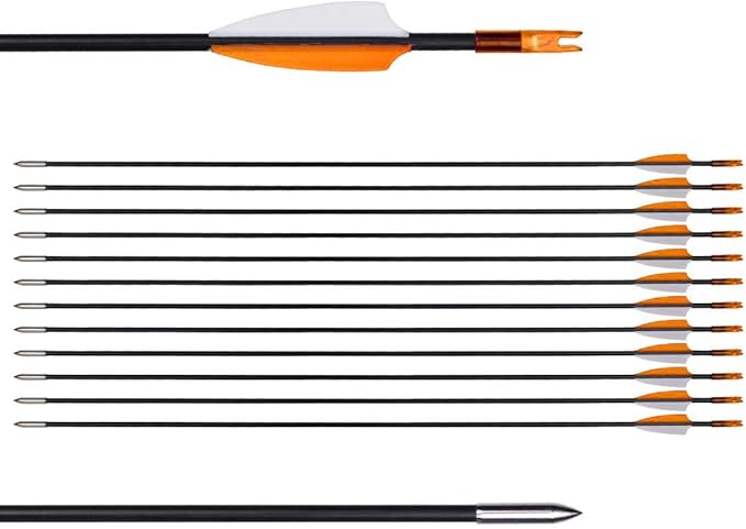 LWANO 31" Training Arrows-Archery Practice Target Arrows for Kids Youth or Beginners with Durable Shaft on Recurve Bow Compound Bow and Longbow