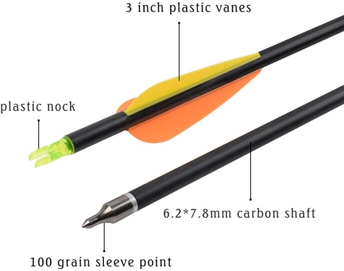 Carbon Arrow Hunting Arrows with 100 Grain Removable Tips for Archery Compound & Recurve & Traditional Bow Practice Shooting (Pack of 12)