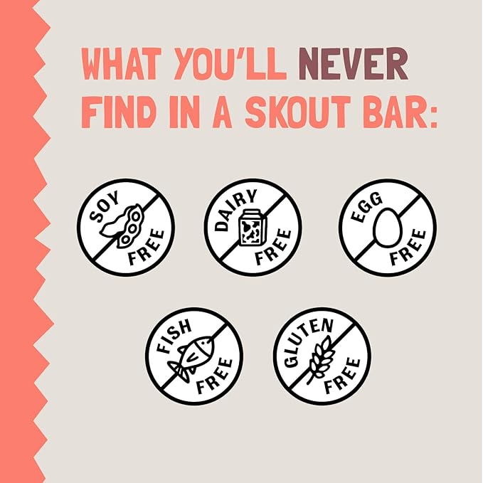 Skout Organic French Toast Frenzy Kids Snack Bars (18 Pack) | Organic Kids Snack Bars | Plant-Based Nutrition | Vegan | Gluten, Dairy, Grain, Peanut, Tree Nut & Soy Free