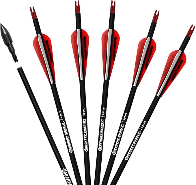 30Inch Carbon Hunting Arrow Targeting Practice Arrows with Removable Tips and Adjustable Nocks for Compound & Recurve Bow (Pack of 12)
