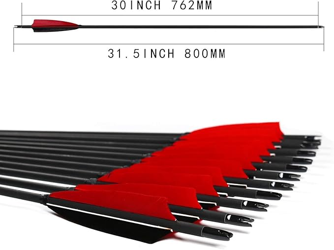 31Inch Carbon Arrows, Targeting Practice Hunting Arrow, Turkey Feather Fletching Arrow, with Removable Tips and nocks for Recurve & Compound Bow