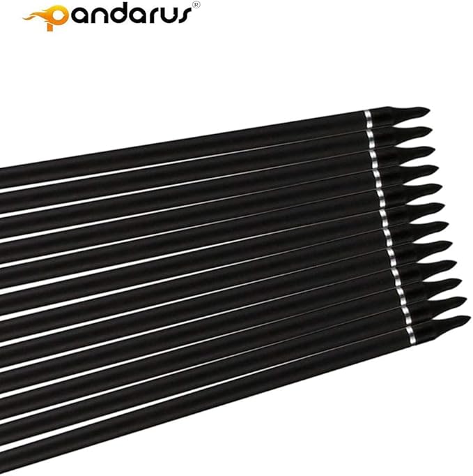 30/32" Inch ST0.006 Hunting Arrows for Compound & Recurve Bow,100% Carbon Archery Target Arrows with Removable Tips for Accurate Hunters & Bowhunters (Pack of 12)