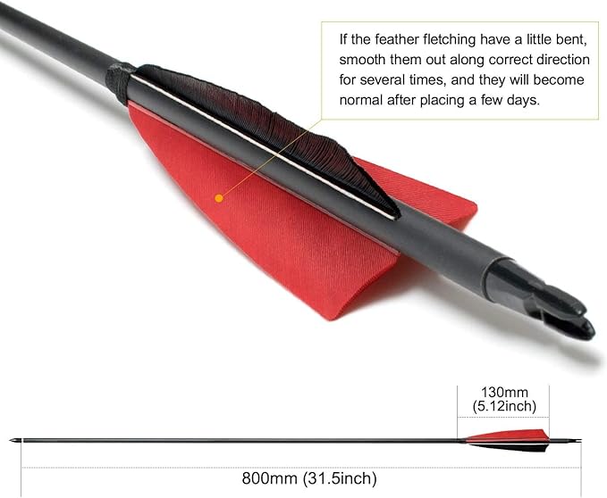 31Inch Carbon Arrows, Targeting Practice Hunting Arrow, Turkey Feather Fletching Arrow, with Removable Tips and nocks for Recurve & Compound Bow