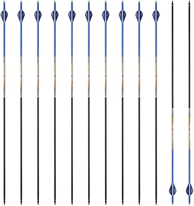 30/32" Inch ST0.006 Hunting Arrows for Compound & Recurve Bow,100% Carbon Archery Target Arrows with Removable Tips for Accurate Hunters & Bowhunters (Pack of 12)