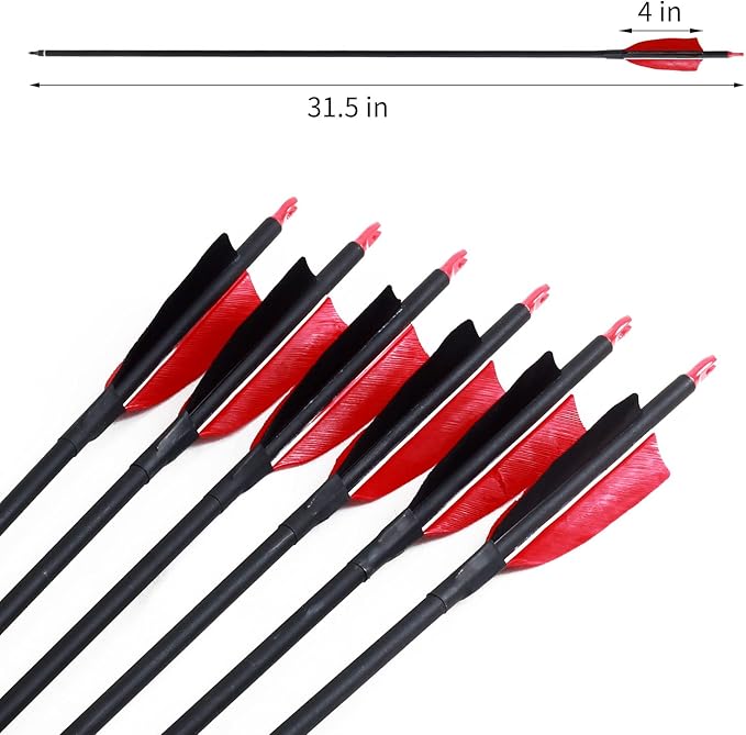 Archery 31" Hunting Arrows with 4" Natural Turkey Feather Carbon Arrows Target Practice Arrows for Traditional Bow Recurve Bow & Longbow - 12Pcs