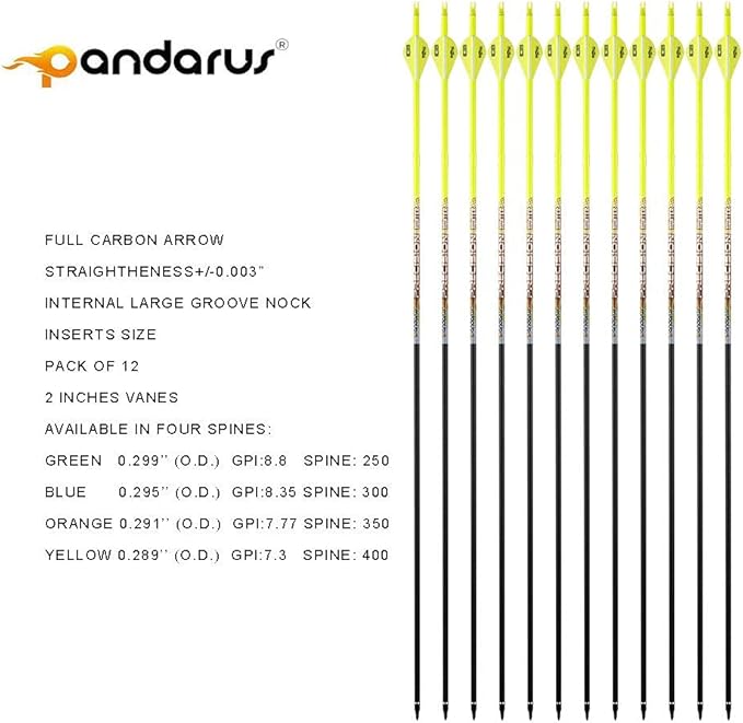 30/32" Inch ST0.006 Hunting Arrows for Compound & Recurve Bow,100% Carbon Archery Target Arrows with Removable Tips for Accurate Hunters & Bowhunters (Pack of 12)