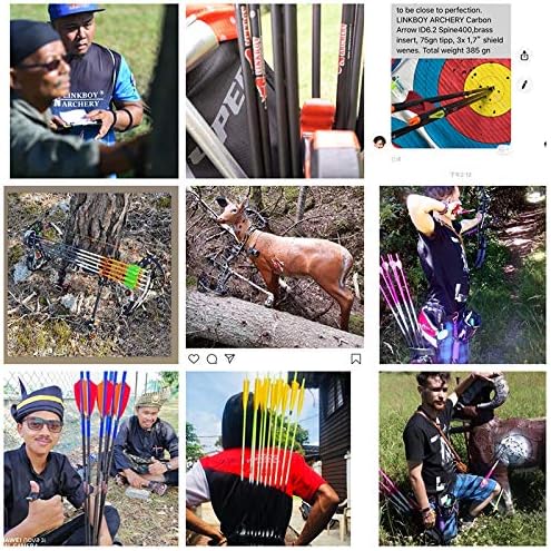 Linkboy Archery Pure Carbon Arrows Spine 300 340 400 500 600 700 800 900 1000 for Compound Recurve Bow Hunting Shooting Target 12pcs