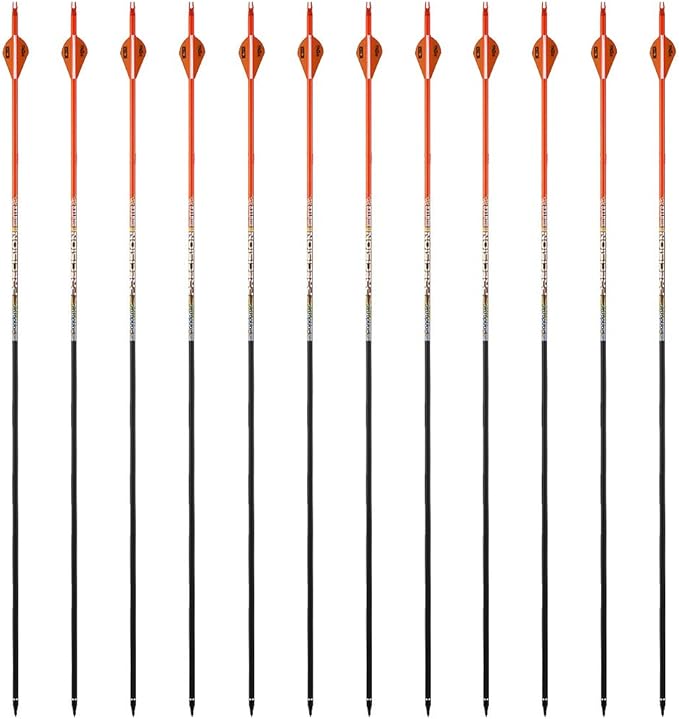 30/32" Inch ST0.006 Hunting Arrows for Compound & Recurve Bow,100% Carbon Archery Target Arrows with Removable Tips for Accurate Hunters & Bowhunters (Pack of 12)