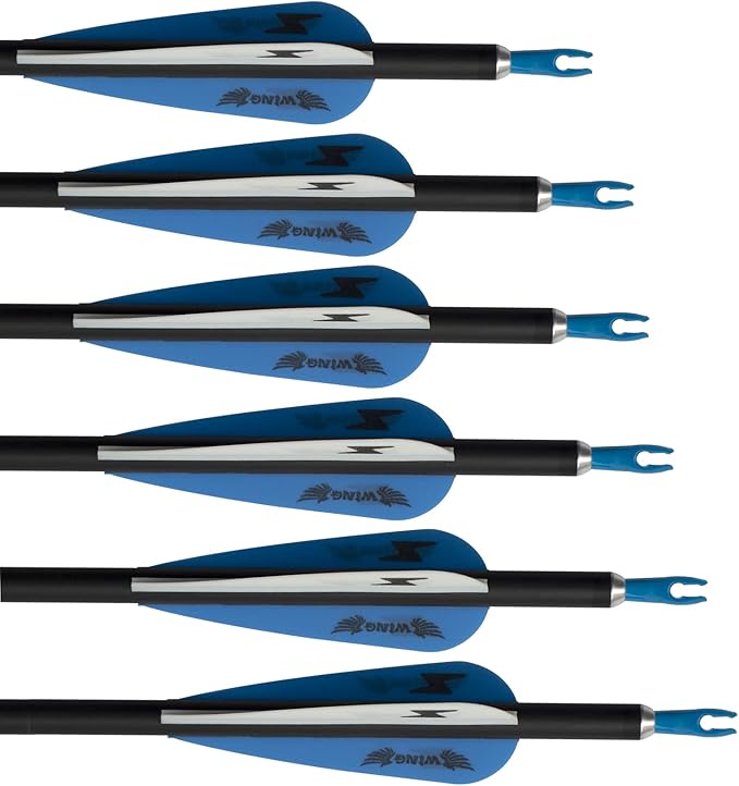 31inch Carbon Arrow Archery Targeting Practice Hunting Arrows for Compound & Recurve Bow with Removable Tips(Pack of 12)