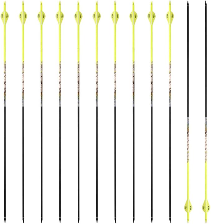 30/32" Inch ST0.006 Hunting Arrows for Compound & Recurve Bow,100% Carbon Archery Target Arrows with Removable Tips for Accurate Hunters & Bowhunters (Pack of 12)