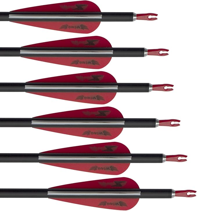 31inch Carbon Arrow Archery Targeting Practice Hunting Arrows for Compound & Recurve Bow with Removable Tips(Pack of 12)
