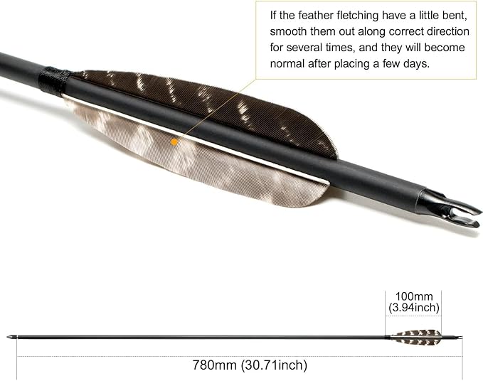 31Inch Carbon Arrow, Practice Hunting Arrows, Camo Turkey Feather Fletching, Arrows for Compound & Recurve Bow with Removable Tips Adjustable Nocks