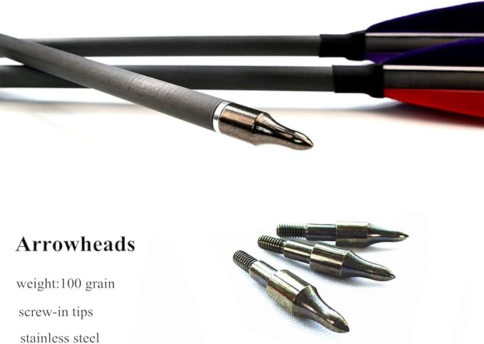 600 Spine Pure Carbon Arrows with Real Turkey Feathers Removable 100 Grain Tips Plastic Nocks for Archery Target Hunting