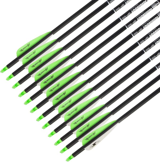 31inch Carbon Arrow Archery Targeting Practice Hunting Arrows for Compound & Recurve Bow with Removable Tips(Pack of 12)