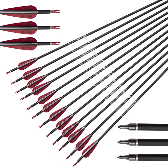31inch Carbon Arrow Archery Targeting Practice Hunting Arrows for Compound & Recurve Bow with Removable Tips(Pack of 12)