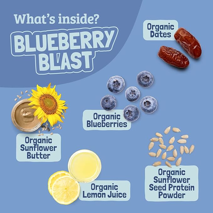 SKOUT Organic Blueberry Blast Real Kids Snack Bars (18 Pack) | Organic Kids Snack Bars | Plant-Based Nutrition, No Added Sugar | Vegan | Gluten, Dairy, Grain, Peanut, Tree Nut & Soy Free