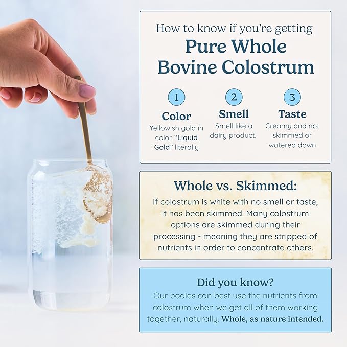 Colostrum Supplement Powder for Gut Health, Immune Support, Muscle Recovery & Wellness | Natural IgG Pure Whole Bovine Colostrum Superfood, Vanilla, 60 Servings