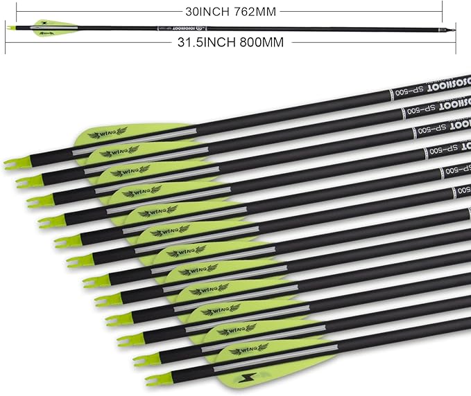 31inch Carbon Arrow Archery Targeting Practice Hunting Arrows for Compound & Recurve Bow with Removable Tips(Pack of 12)