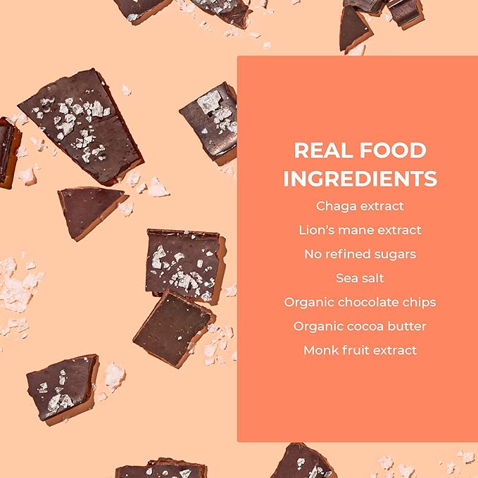 Laird Superfood Functional Protein Bars – Protein Bar but Better with Real Ingredients, Functional Mushrooms 10g Plant-Based Protein, 6g Fiber - Non-GMO - Dark Chocolate Sea Salt, 10 Count (Pack of 1)