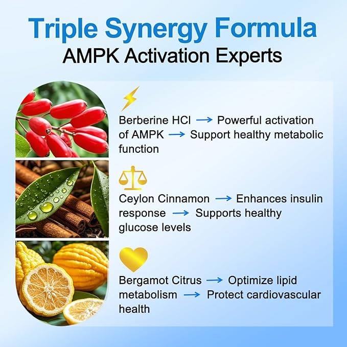 Premium Berberine Supplement Supports AMPK Metabolic, Liposomal Berberine with Ceylon Cinnamon - Classic 1500mg Formula for Healthy Metabolism & Weigh*t - 3X Absorption - Vegan, Non-GMO, 120 Count