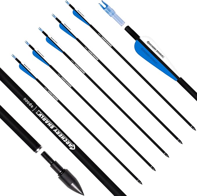 30Inch Carbon Hunting Arrow Targeting Practice Arrows with Removable Tips and Adjustable Nocks for Compound & Recurve Bow (Pack of 12)