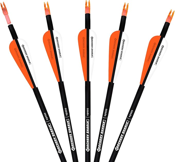 30Inch Carbon Hunting Arrow Targeting Practice Arrows with Removable Tips and Adjustable Nocks for Compound & Recurve Bow (Pack of 12)