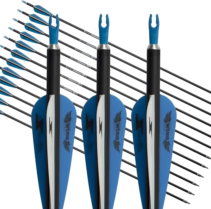 31inch Carbon Arrow Archery Targeting Practice Hunting Arrows for Compound & Recurve Bow with Removable Tips(Pack of 12)