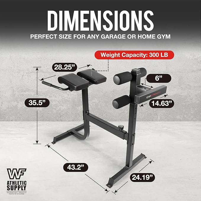 CAPHAUS Adjustable Hyperextension 90 Degree Strength Roman Chair with Handle, Ab Bench Multi-Functional Weight Bench, Muscle Strength Training Fitness Back Machines for Full Body Workout