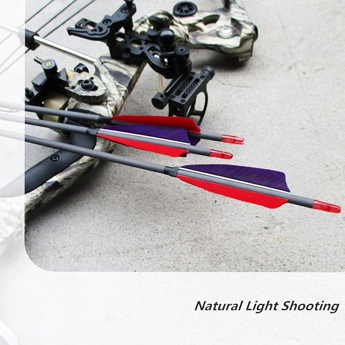 600 Spine Pure Carbon Arrows with Real Turkey Feathers Removable 100 Grain Tips Plastic Nocks for Archery Target Hunting