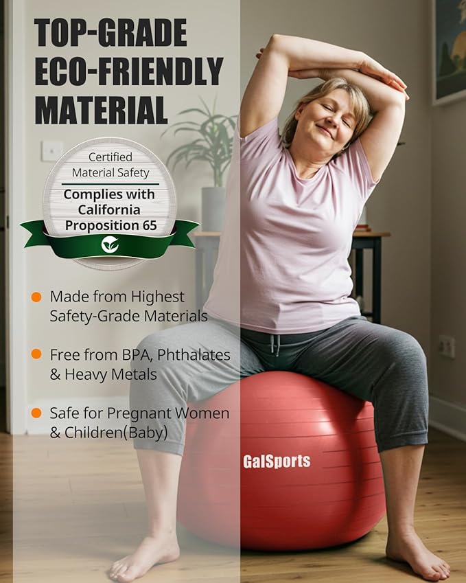 GalSports Anti-Burst Slip Resistant Stability Ball - Swiss Ball for Home Gym & Physical Therapy