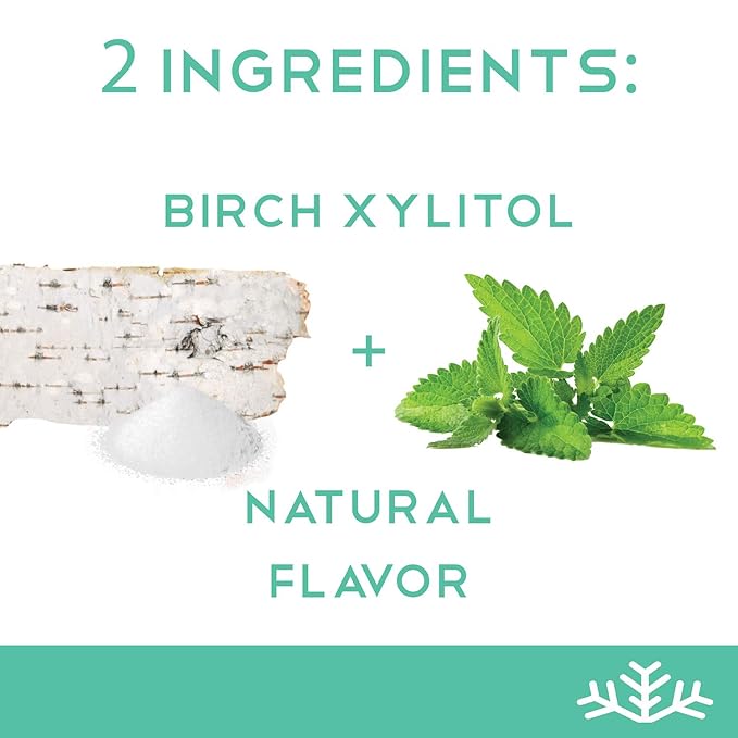 Wintergreen Xylitol Candy Chips - SNØ 1LB Bag - Handcrafted w/ONLY 2 Ingredients | Diabetic-friendly, Non-GMO, Vegan, Keto, GF & Kosher | Purest sugar-free candy in the world!