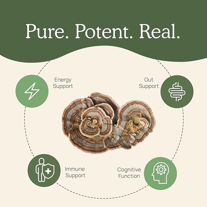 Real Mushrooms Turkey Tail Capsules – Organic Mushroom Extract for Wellness & Daily Rhythm – Vegan, Non-GMO, No Fillers Turkey Tail Extract – 90 Count Mushroom Supplement