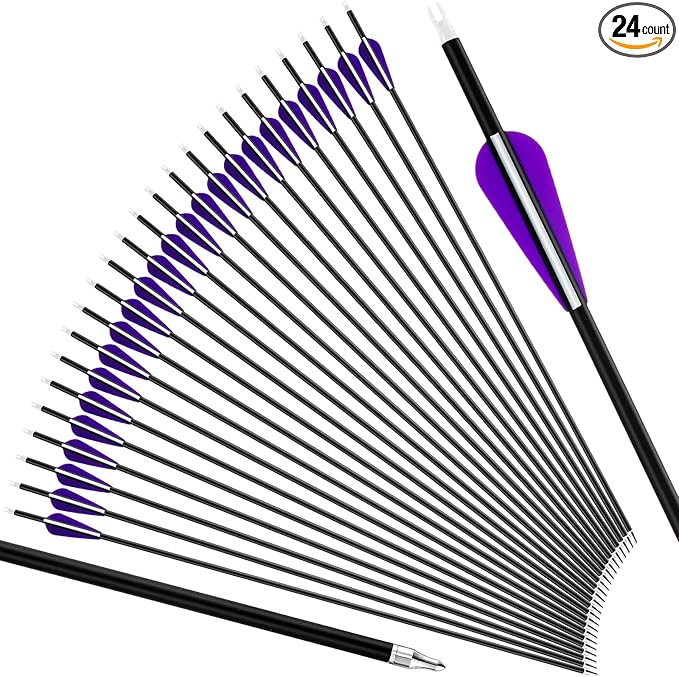 24 Pcs 31.5 Inch Arrows for Compound Bow Hunting Arrows Carbon Arrows with 3 Inch Plastic Arrow Feathers and Removable Tips 500-600 Spine Archery Target Arrows for Recurve Bow